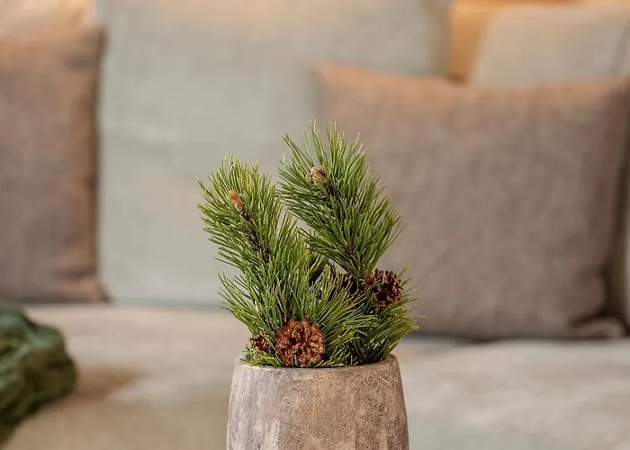 Vronis * هارت إم زيلرتال